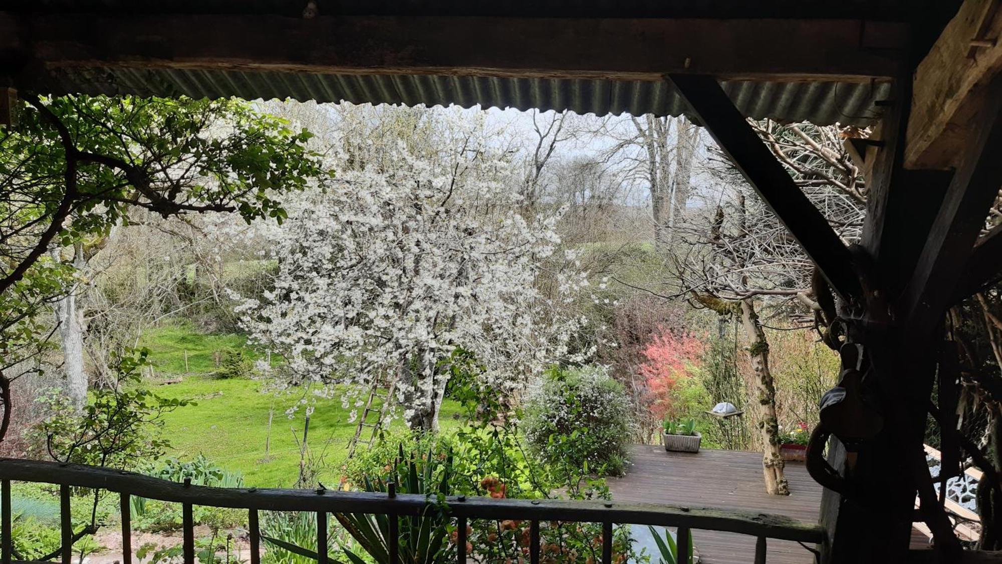 Saint-Bonnet-de-Bellac Au Coeur Des Loges Bed & Breakfast エクステリア 写真