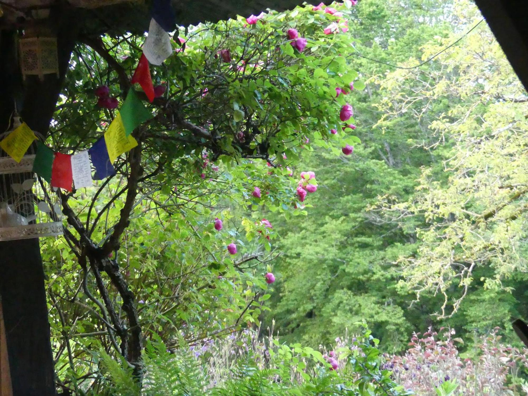 Saint-Bonnet-de-Bellac Au Coeur Des Loges Bed & Breakfast エクステリア 写真