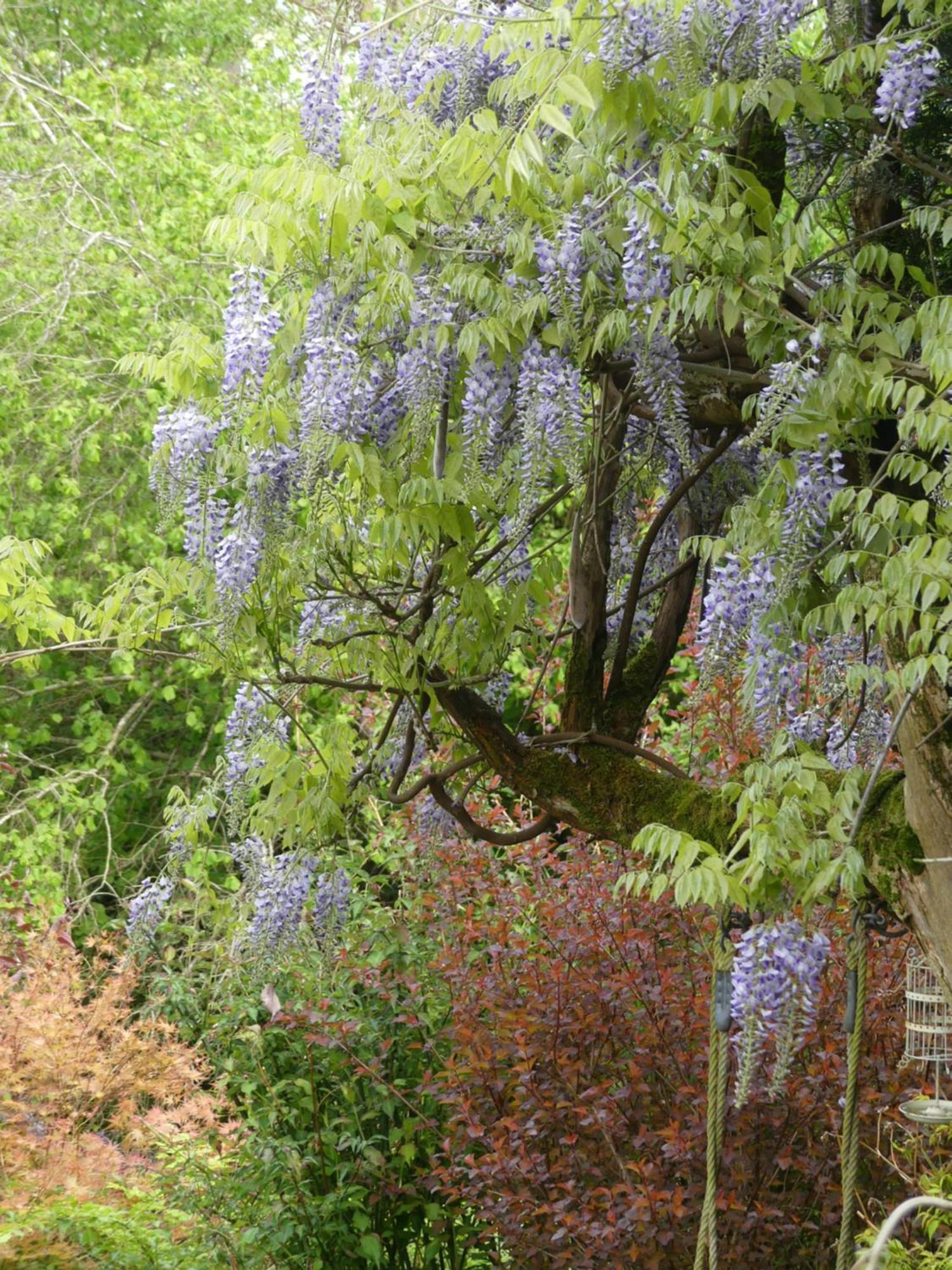 Saint-Bonnet-de-Bellac Au Coeur Des Loges Bed & Breakfast エクステリア 写真